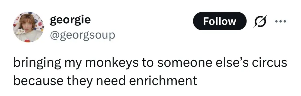 bringing my monkeys to someone else's circus because they need enrichment
