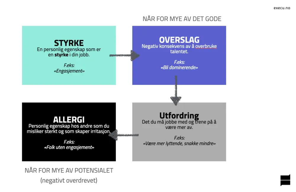 Ofmans kjernekvadrant - fire ruter merket styrke, overslag, utfordring og allergi