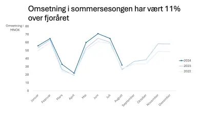 graf med flere år omsetning, som viser sesongvariasjonen